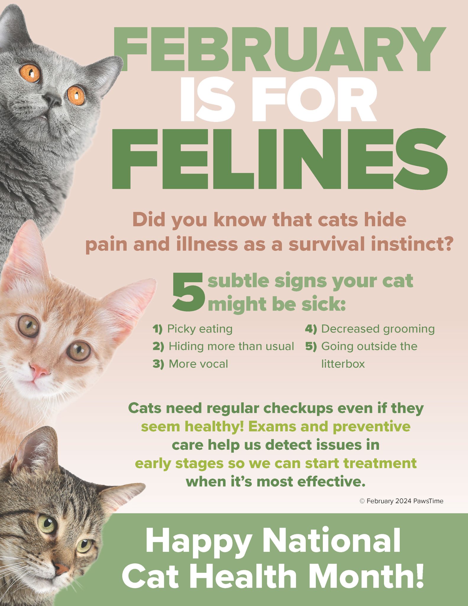 February is for Felines